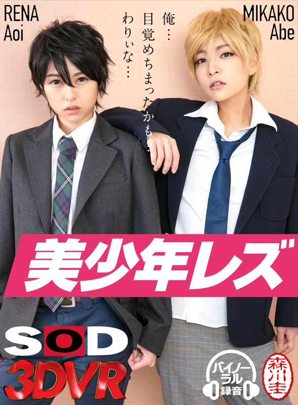 【スレンダー あおいれな・あべみかこ】【VR】アナタの彼氏がイケメンに寝取られるファンタジーNTR！美少年レズ｜13dsvr00307