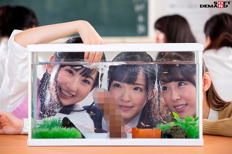 【企画 】日常生活にある私たちのおちんちんペット｜1sdde00556